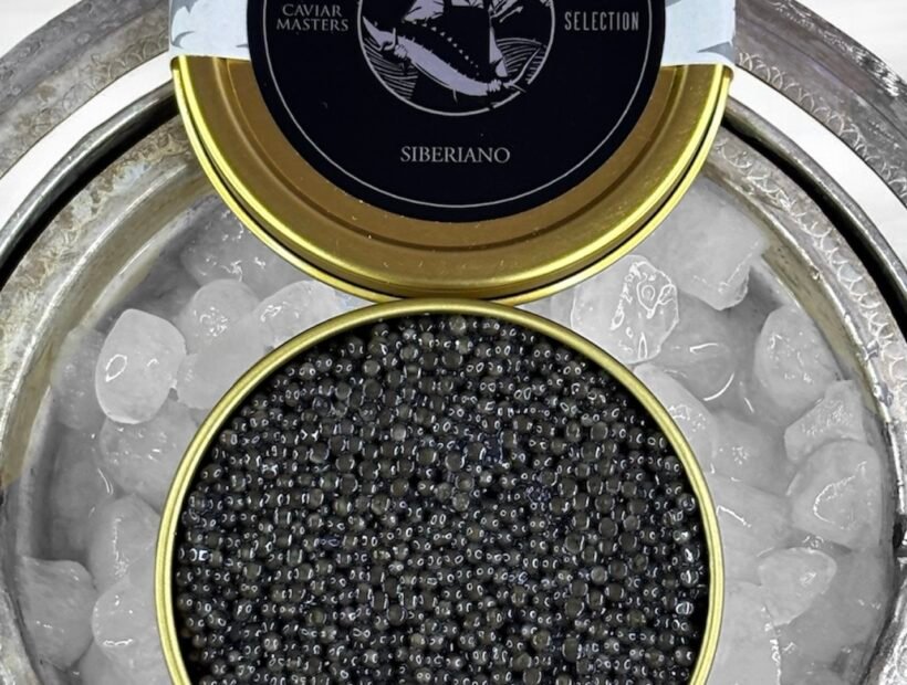 Lata de Caviar Siberiano Clásico de Caviar Masters sobre hielo